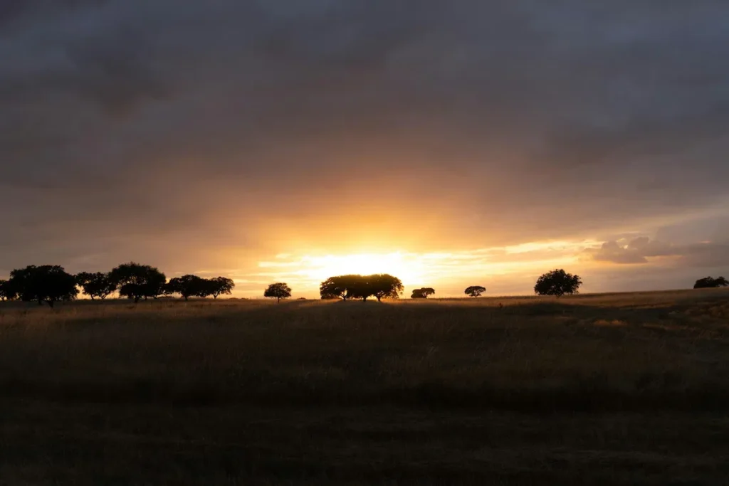 Pôr-do-sol no Alentejo.